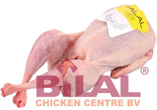 Bilal Chicken QUAIL